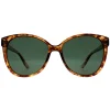 Montana Cat-Eye^Sunglasses MP74 C Shiny Havana Soft Demi G15 Green Polarized