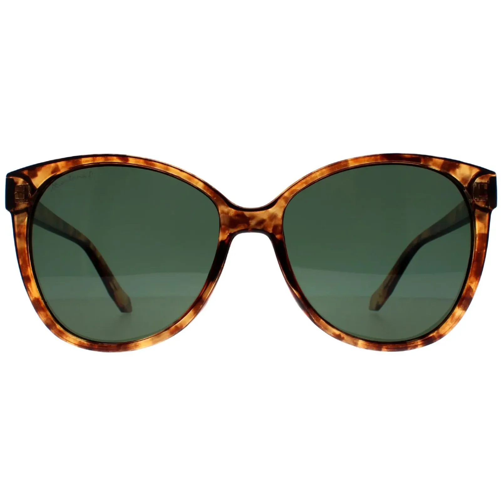 Montana Cat-Eye^Sunglasses MP74 C Shiny Havana Soft Demi G15 Green Polarized