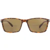 Montana Polarised|Rectangle^Sunglasses MP51 D Brown Turtle Rubbertouch Brown Polarized