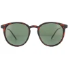 Montana Polarised|Round^Sunglasses MP33 D Brown Turtle Rubbertouch G15 Green Polarized