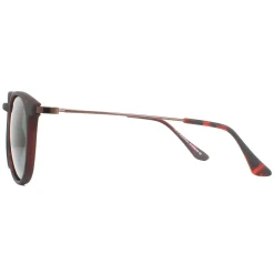 Montana Polarised|Round^Sunglasses MP33 D Brown Turtle Rubbertouch G15 Green Polarized