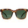 Montana Square|Square^Sunglasses MP72 D Shiny Havana Soft Demi Green Polarized