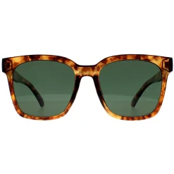 Montana Square|Square^Sunglasses MP72 D Shiny Havana Soft Demi Green Polarized