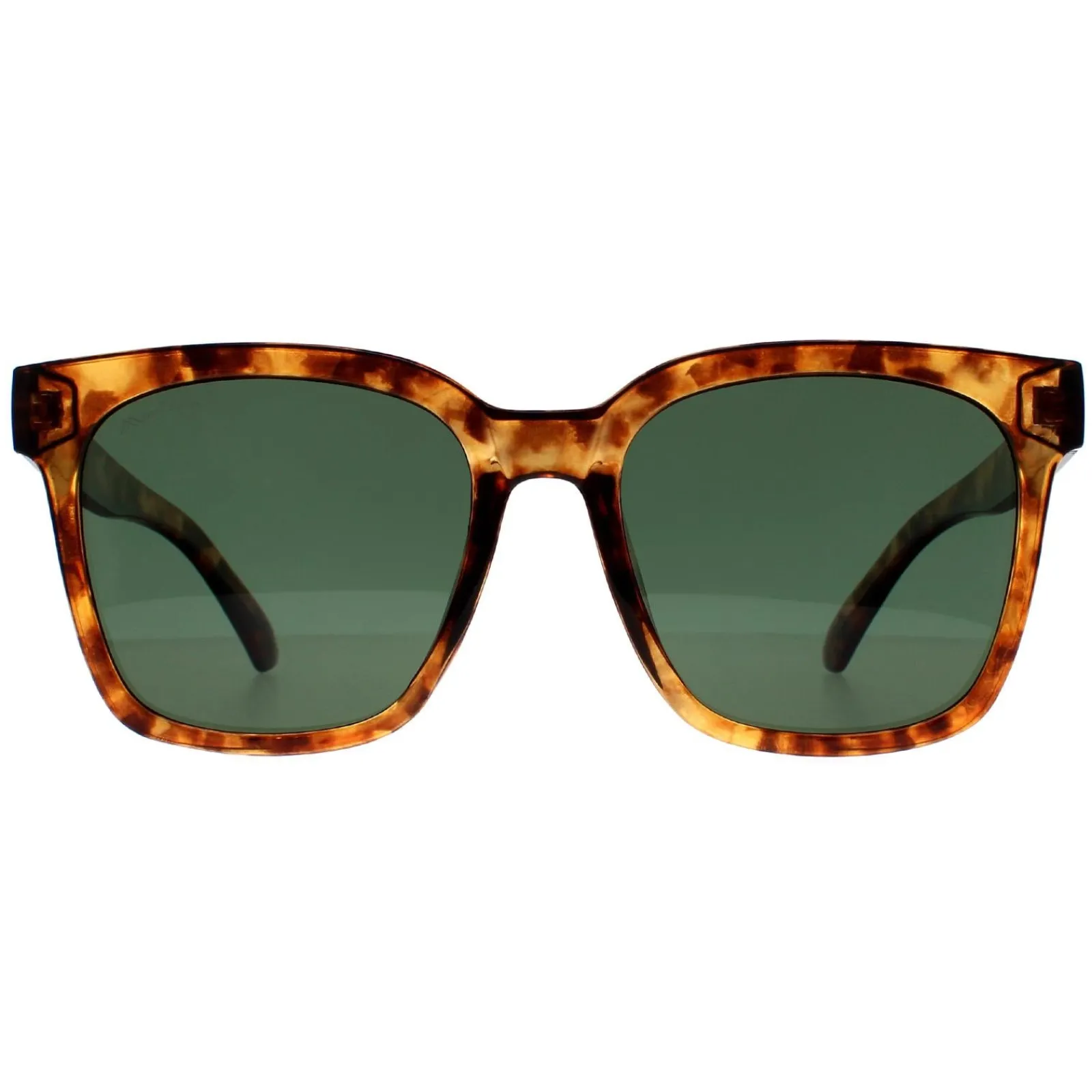 Montana Square|Square^Sunglasses MP72 D Shiny Havana Soft Demi Green Polarized