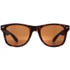 Montana Square|Polarised^Sunglasses MP1B-XL B Turtle Brown Polarized