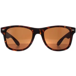 Montana Square|Polarised^Sunglasses MP1B-XL B Turtle Brown Polarized