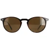 Oliver Peoples Polarised^Sunglasses Riley OV5004SU 166657 Horn True Brown Polari