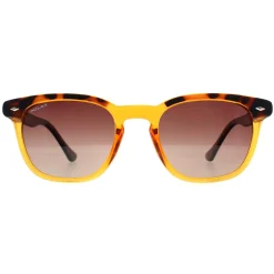 Polar Polarised|Rectangle^Sunglasses 362 COL.431 Shiny Crystal Honey Havana Brown ize