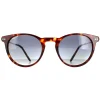 Polar Polarised^Sunglasses York COL.428 Havana Grey Brown ized