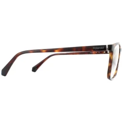 Polaroid Square|Square^Glasses Frames PLD D373 086 Dark Havana