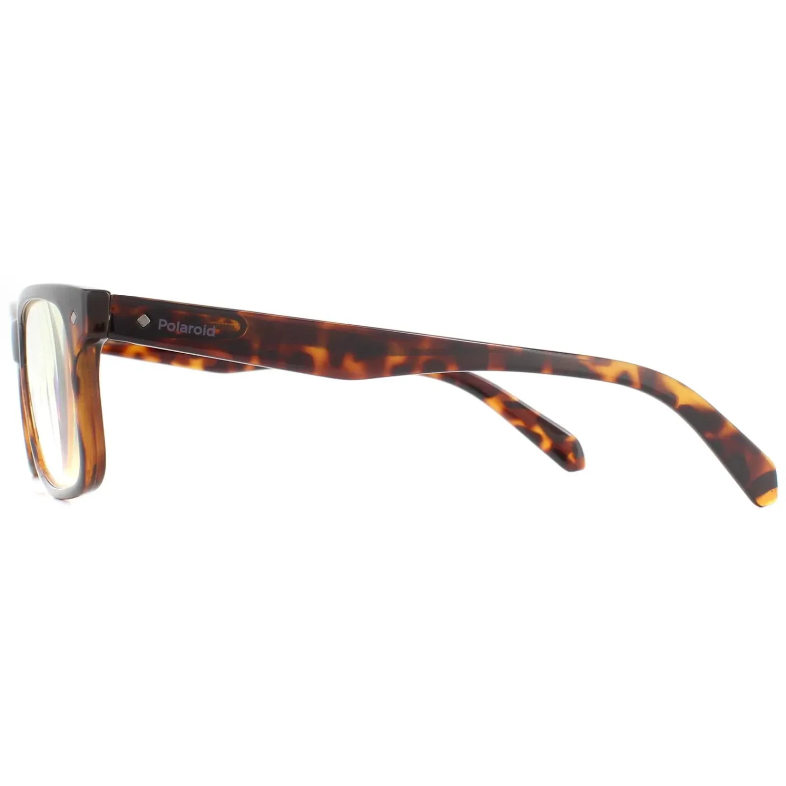 Polaroid Polaroid^Glasses Readers 0023/R 086 Havana +1.0 Blue Light Block