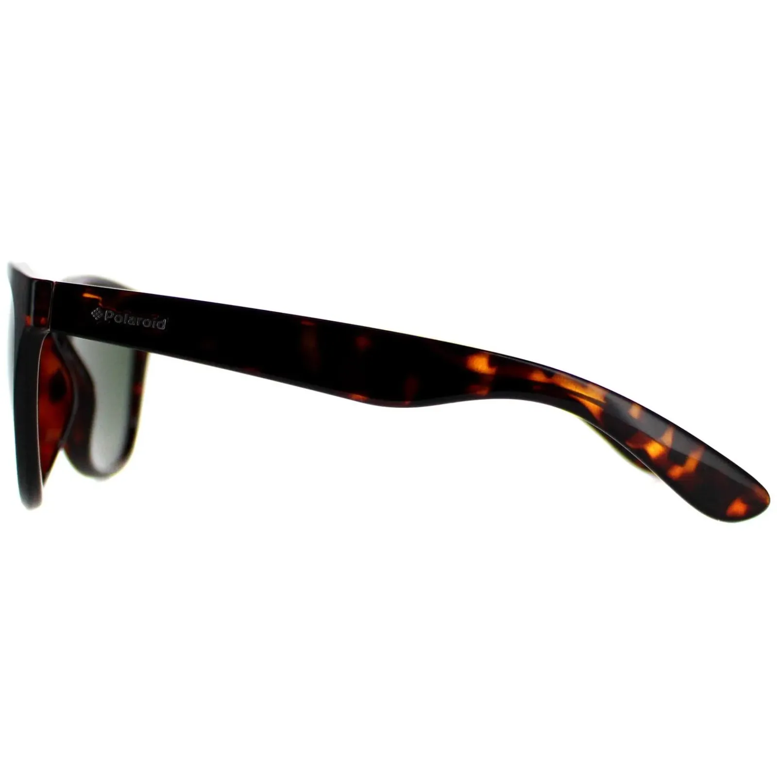 Polaroid Polarised|Polaroid^Plus Sunglasses PLD 1007/S V08 H8 Havana Green Polarized