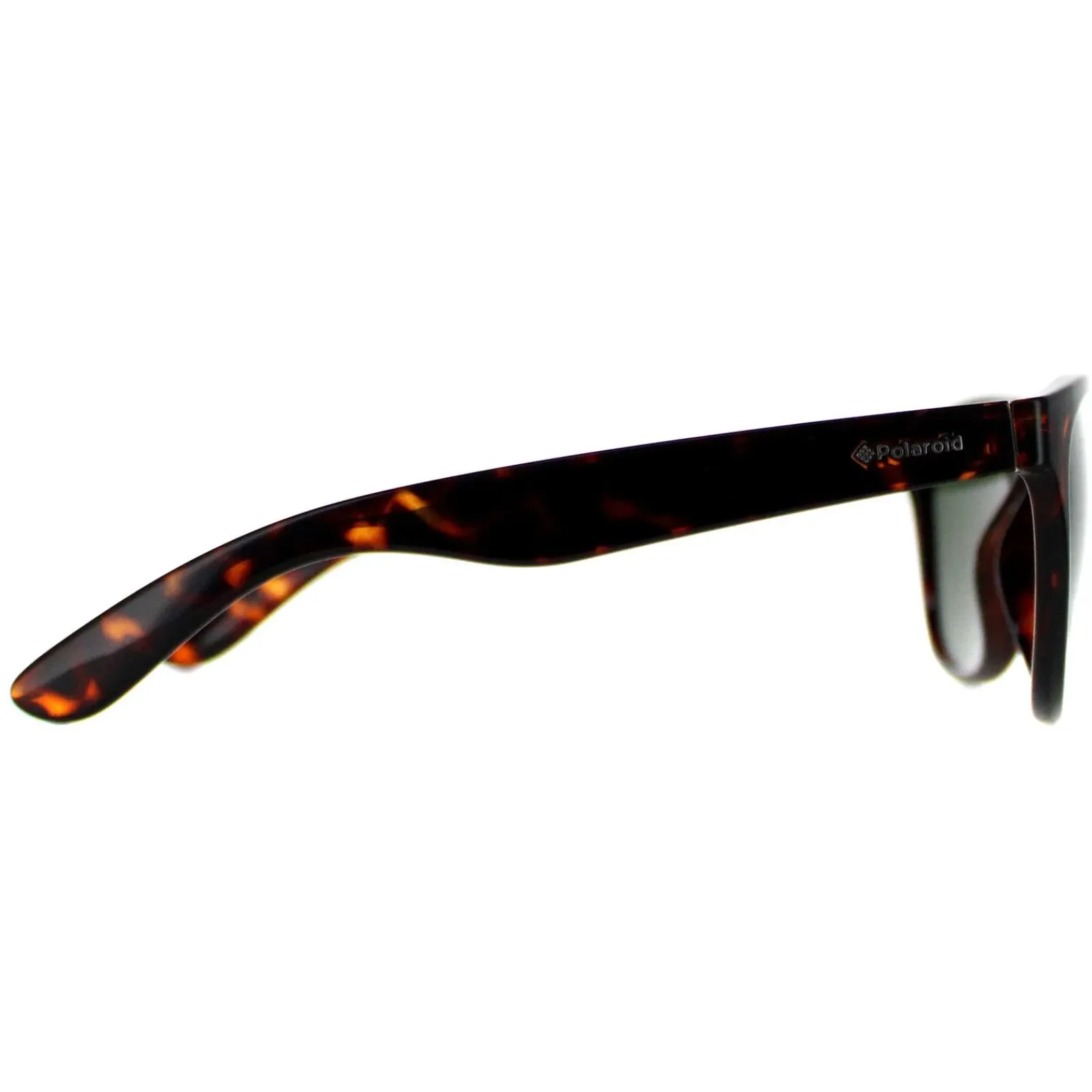 Polaroid Polarised|Polaroid^Plus Sunglasses PLD 1007/S V08 H8 Havana Green Polarized