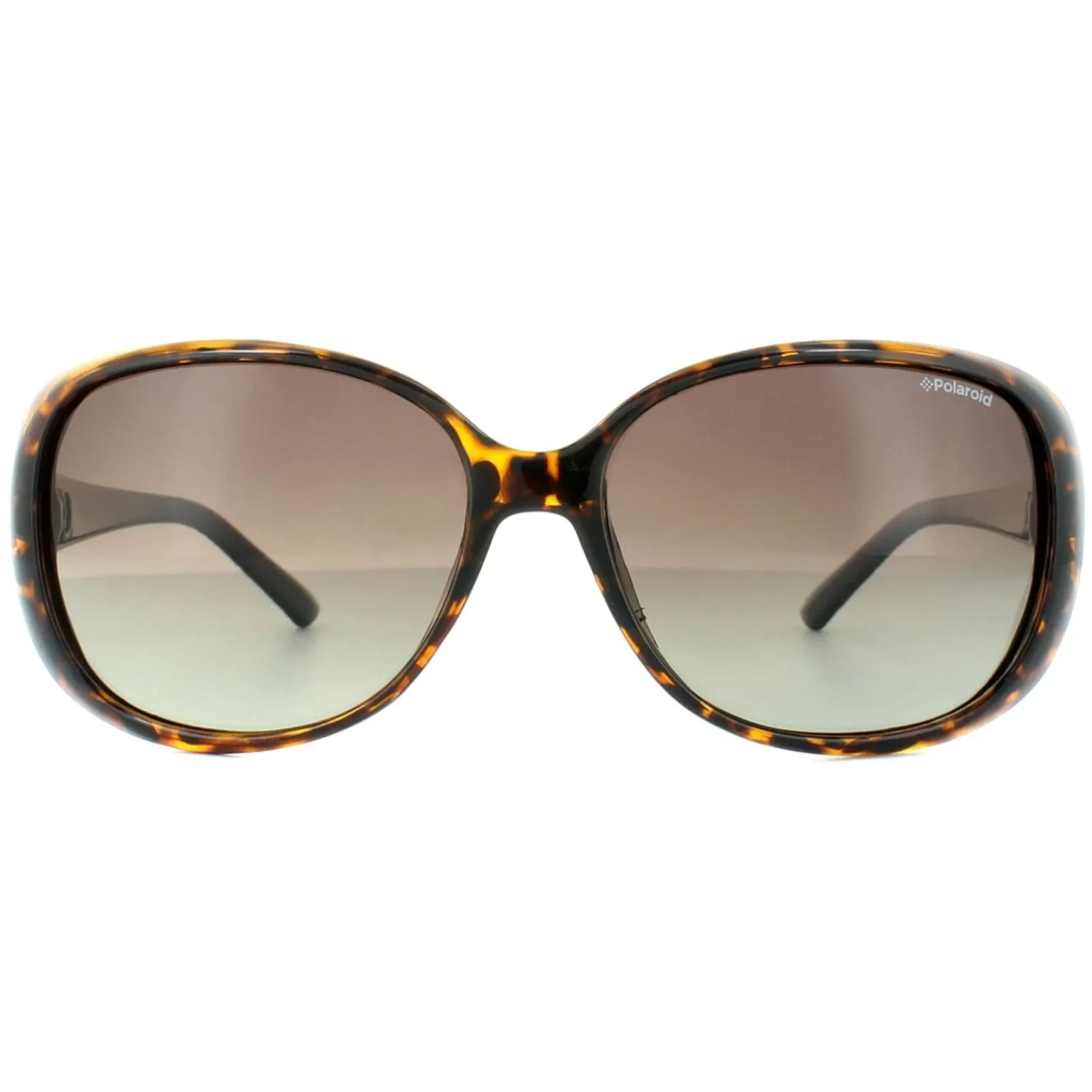 Polaroid Polarised|Butterfly^Sunglasses P8430 581 LA Havana Black Brown Gradient Polarized