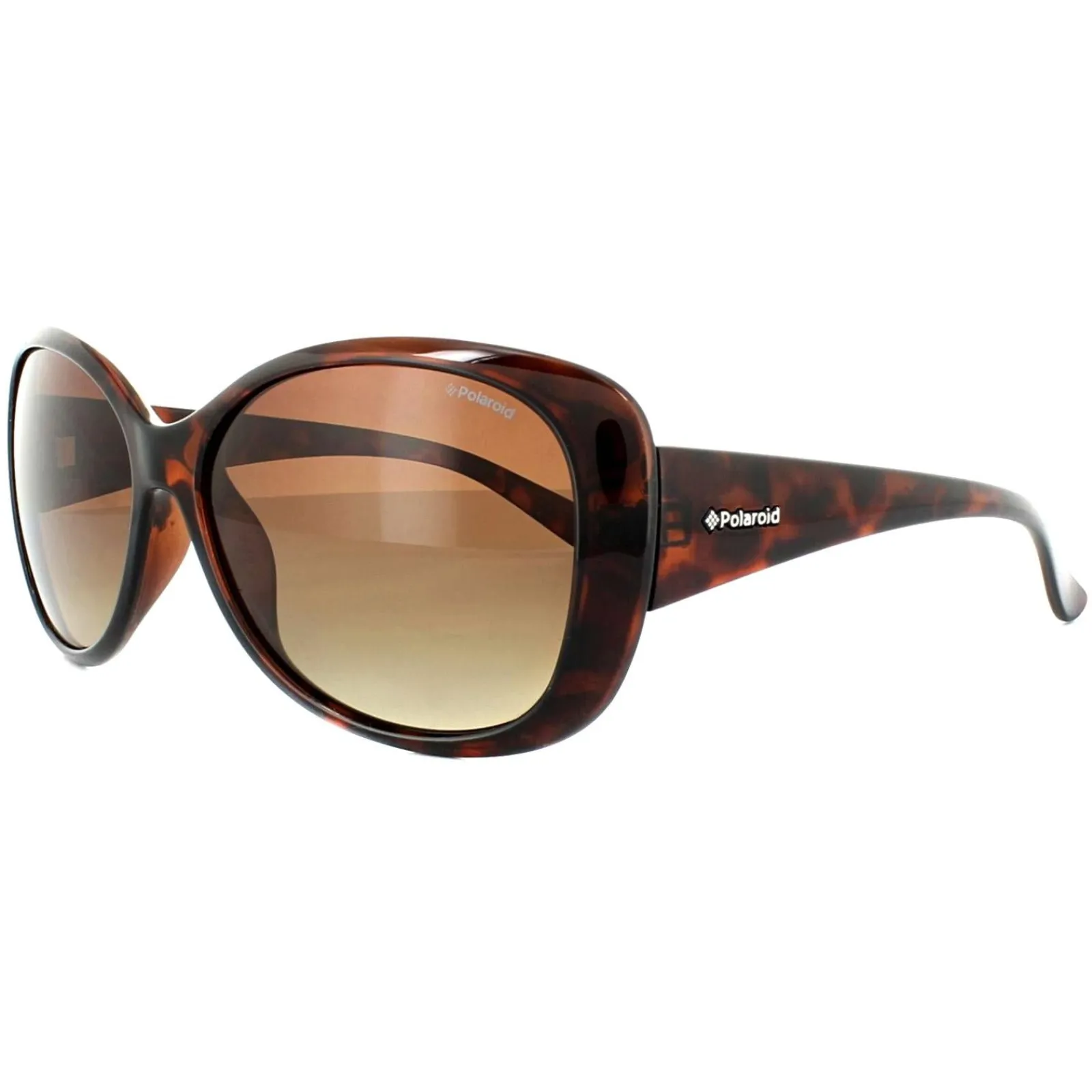 Polaroid Polarised|Butterfly^Sunglasses P8317 0BM LA Havana Brown Gradient Polarized