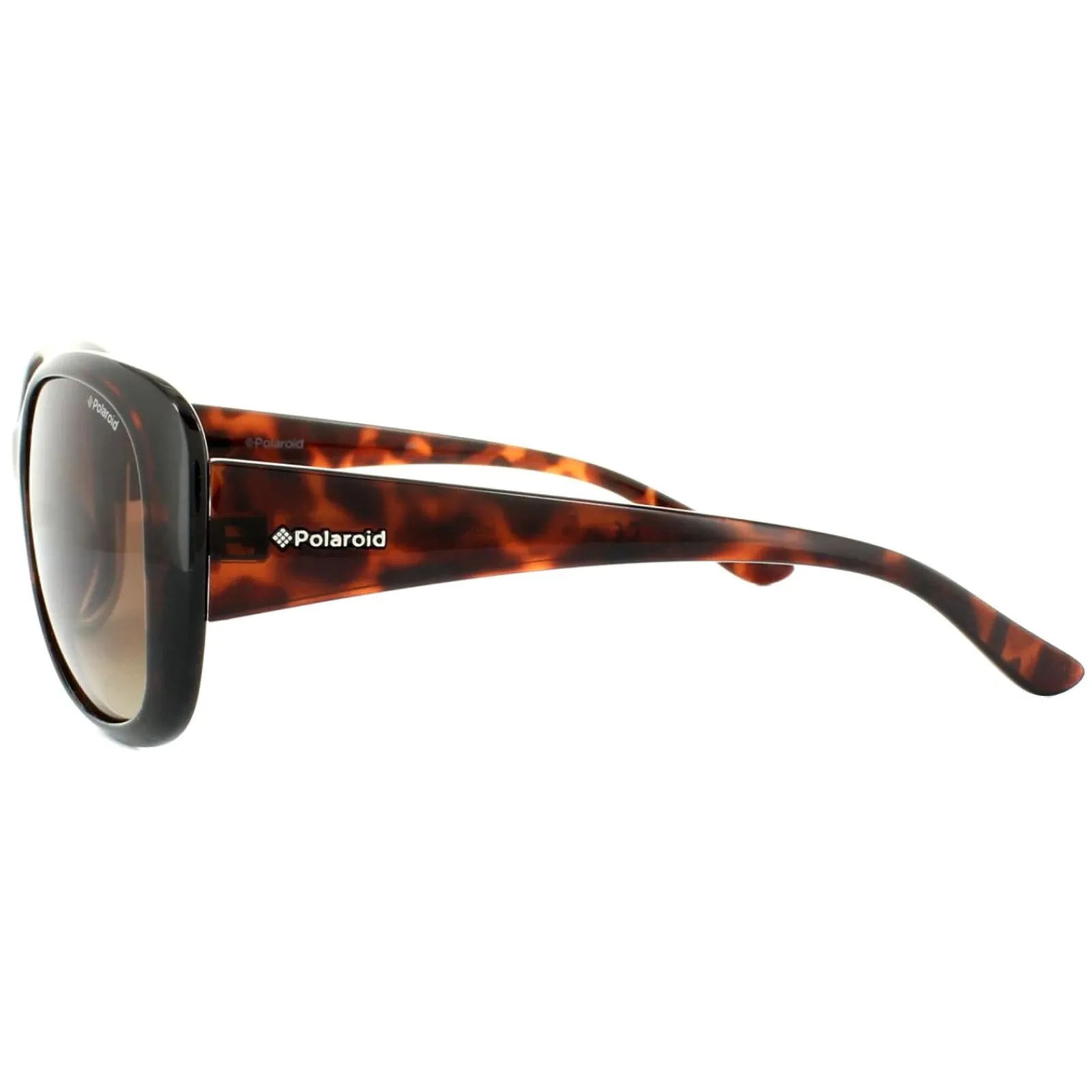 Polaroid Polarised|Butterfly^Sunglasses P8317 0BM LA Havana Brown Gradient Polarized