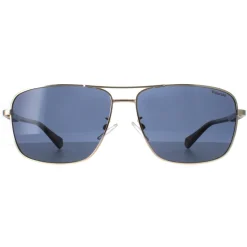 Polaroid Polarised|Rectangle^Sunglasses PLD 2119/G/S J5G C3 Gold Blue Polarized