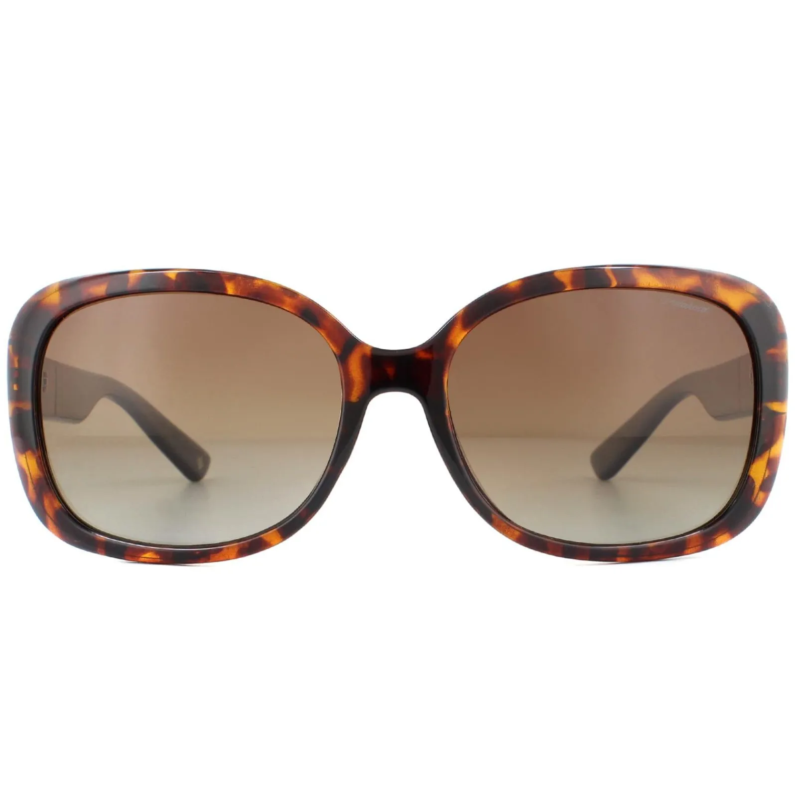 Polaroid Polarised^Sunglasses PLD 4069/G/S/X 086 LA Havana Brown Gradient Polari