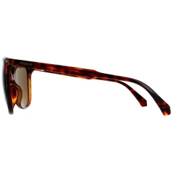 Polaroid Polarised|Cat-Eye^Sunglasses PLD 4125/G/S 086 SP Dark Havana Bronze Polarized
