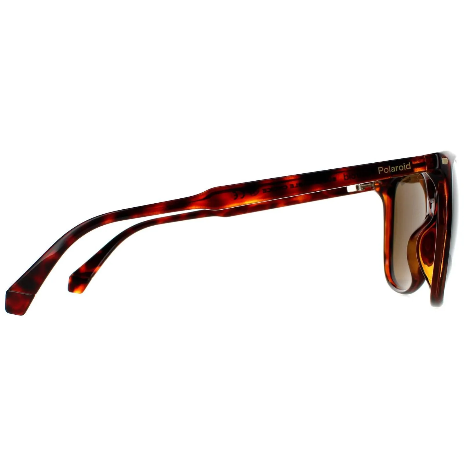 Polaroid Polarised|Cat-Eye^Sunglasses PLD 4125/G/S 086 SP Dark Havana Bronze Polarized
