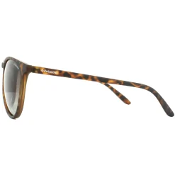 Polaroid Polarised^Sunglasses PLD 6003/N/S V08 LA Havana Brown Gradient Polarize