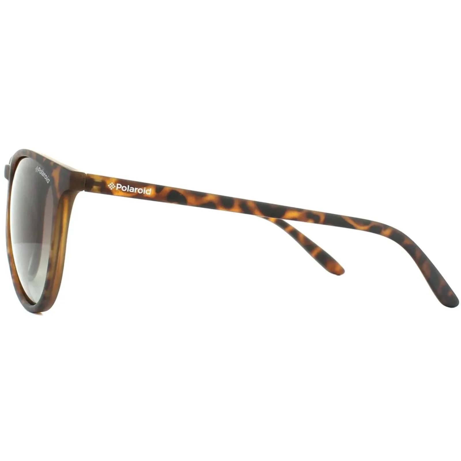 Polaroid Polarised^Sunglasses PLD 6003/N/S V08 LA Havana Brown Gradient Polarize