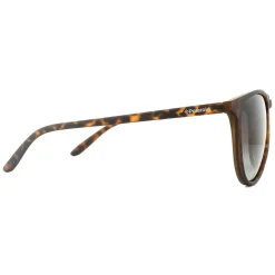 Polaroid Polarised^Sunglasses PLD 6003/N/S V08 LA Havana Brown Gradient Polarize