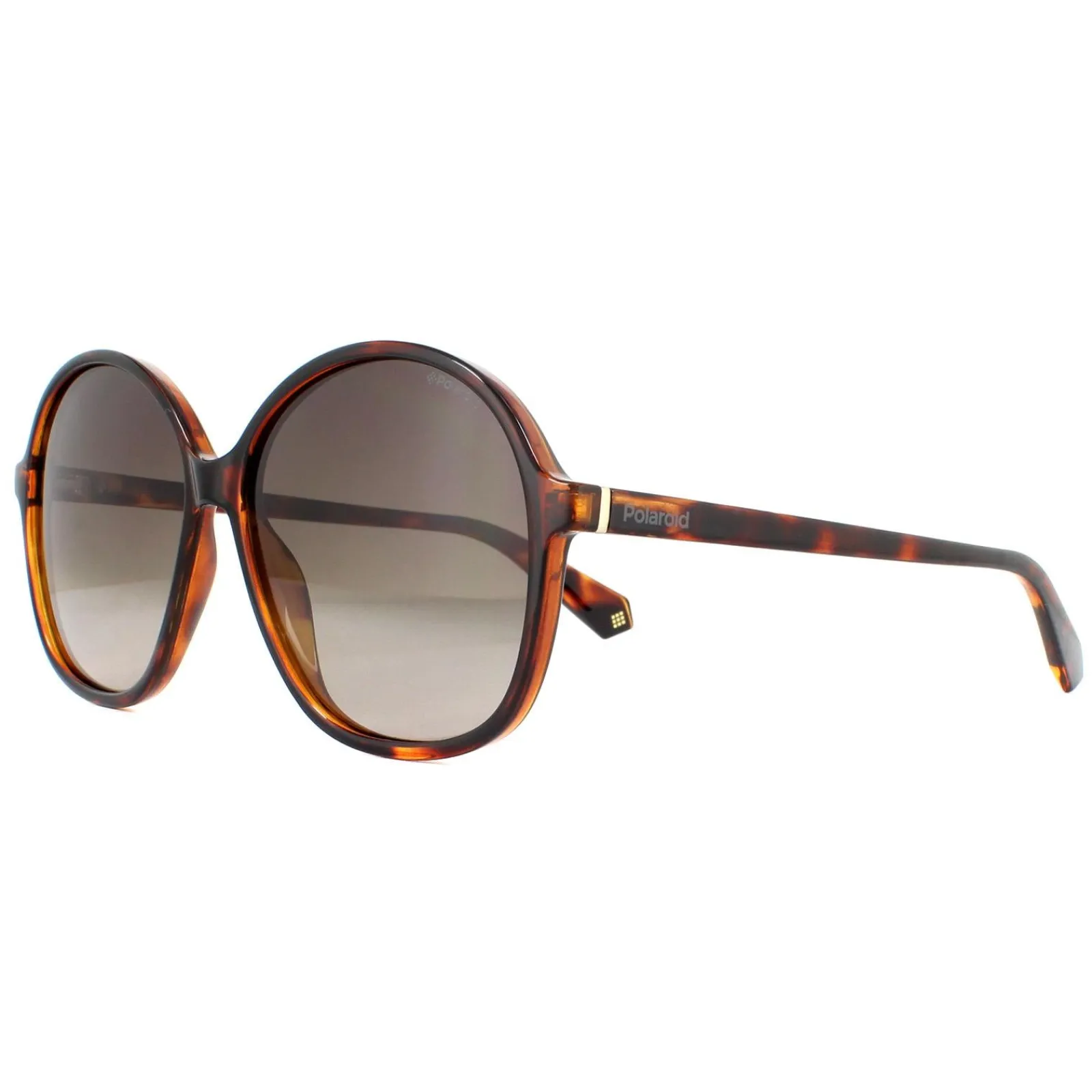 Polaroid Polarised^Sunglasses PLD 6095/S 086 LA Havana Brown Gradient Polarized