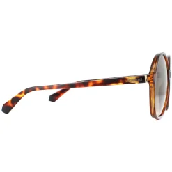 Polaroid Polarised^Sunglasses PLD 6095/S 086 LA Havana Brown Gradient Polarized