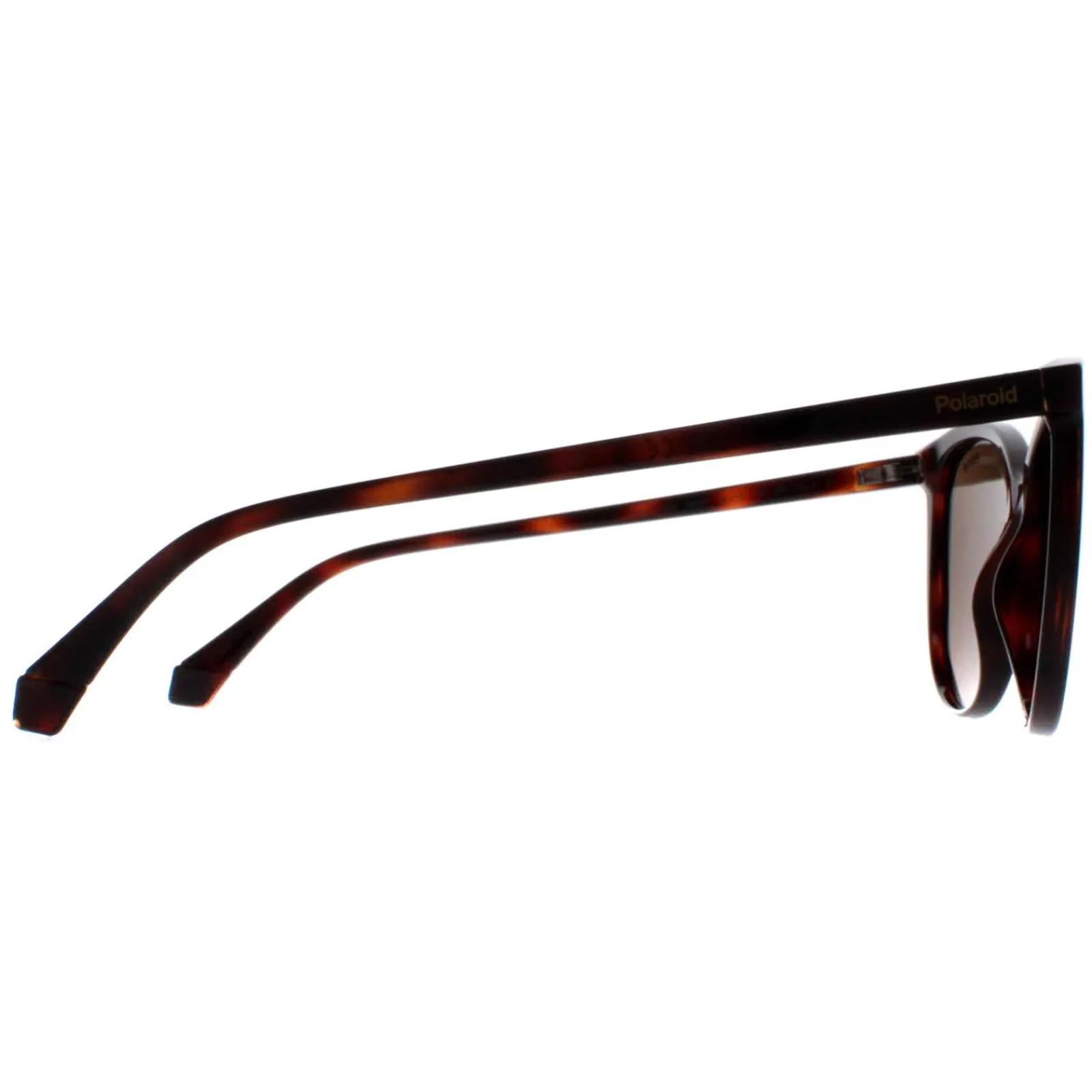 Polaroid Polarised^Sunglasses PLD 4138/S 086 SP Havana Bronze Polarized