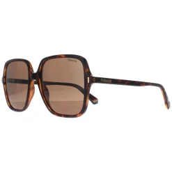 Polaroid Square|Polarised^Sunglasses PLD 6219/S 086 SP Havana Bronze Polarized