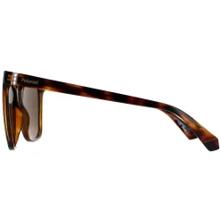 Polaroid Square|Polaroid^Sunglasses PLD 4155/S/X 086 SP Havana Bronze Polarized