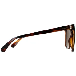 Polaroid Square|Polaroid^Sunglasses PLD 4155/S/X 086 SP Havana Bronze Polarized