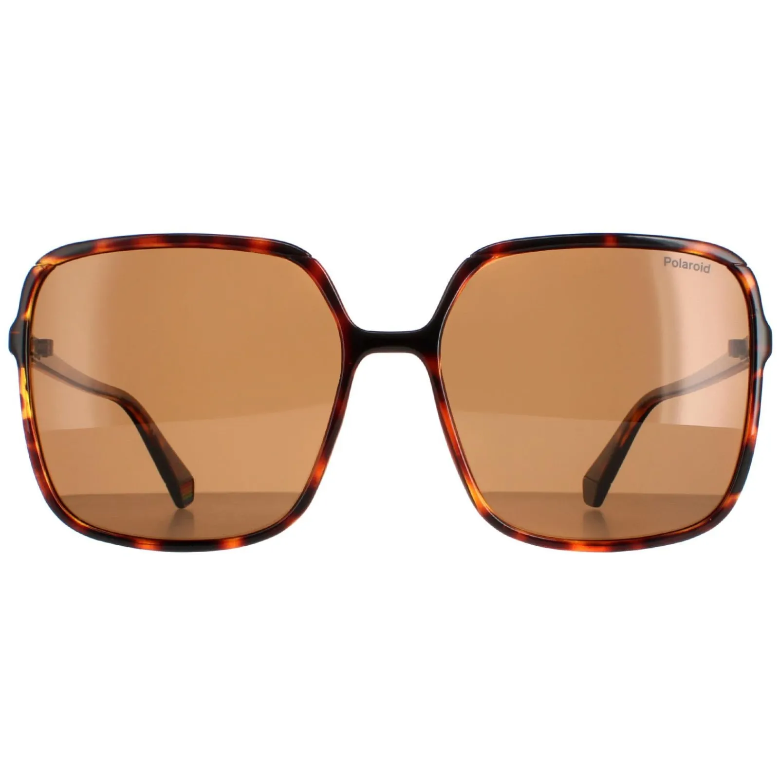 Polaroid Square|Polarised^Sunglasses PLD 6128/S 9N4 SP Havana Brown Polarized
