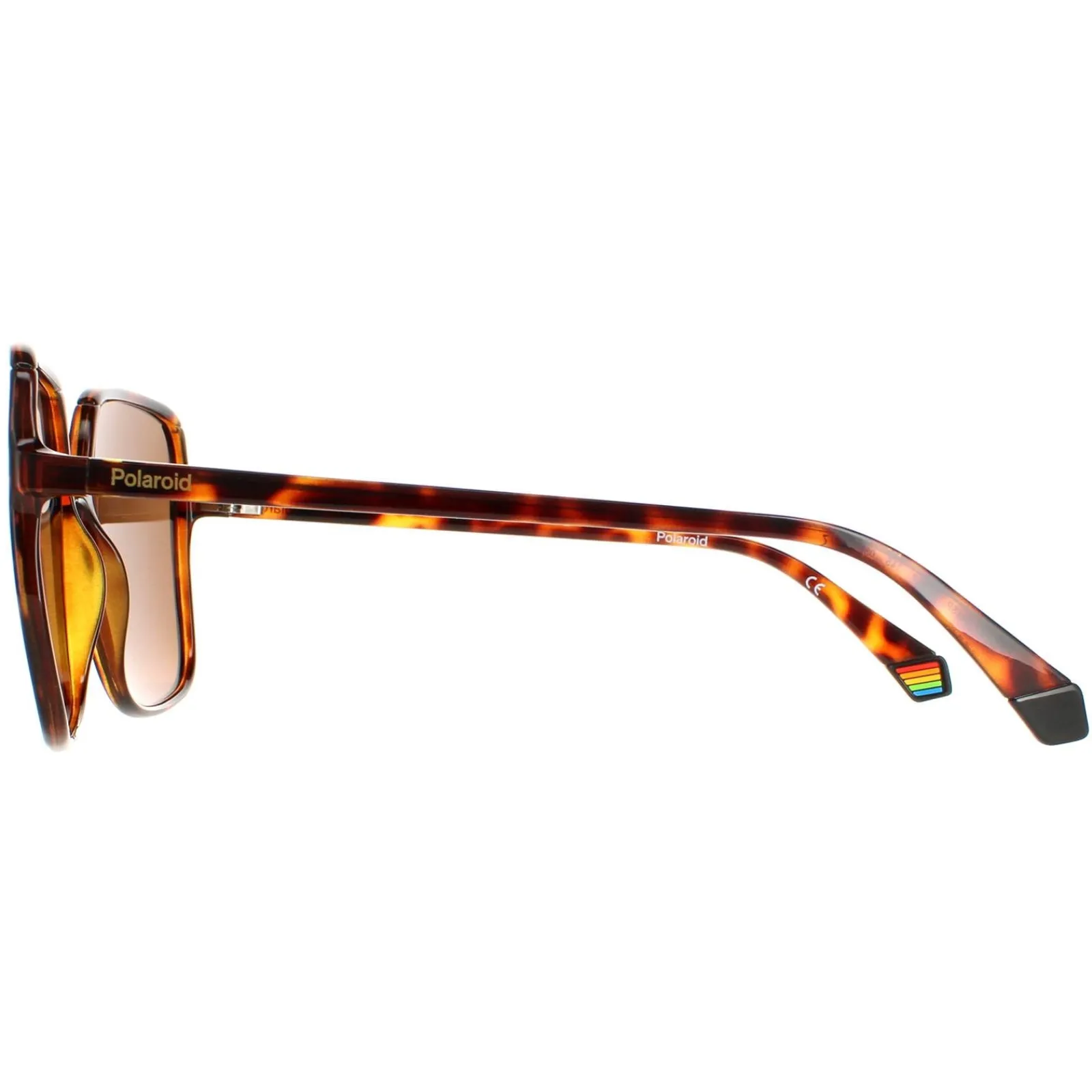 Polaroid Square|Polarised^Sunglasses PLD 6128/S 9N4 SP Havana Brown Polarized