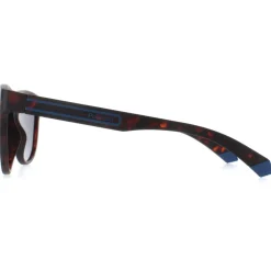 Polaroid Polarised|Polaroid^Sunglasses PLD 2156/S HGC C3 Matte Havana Blue Grey Polarized