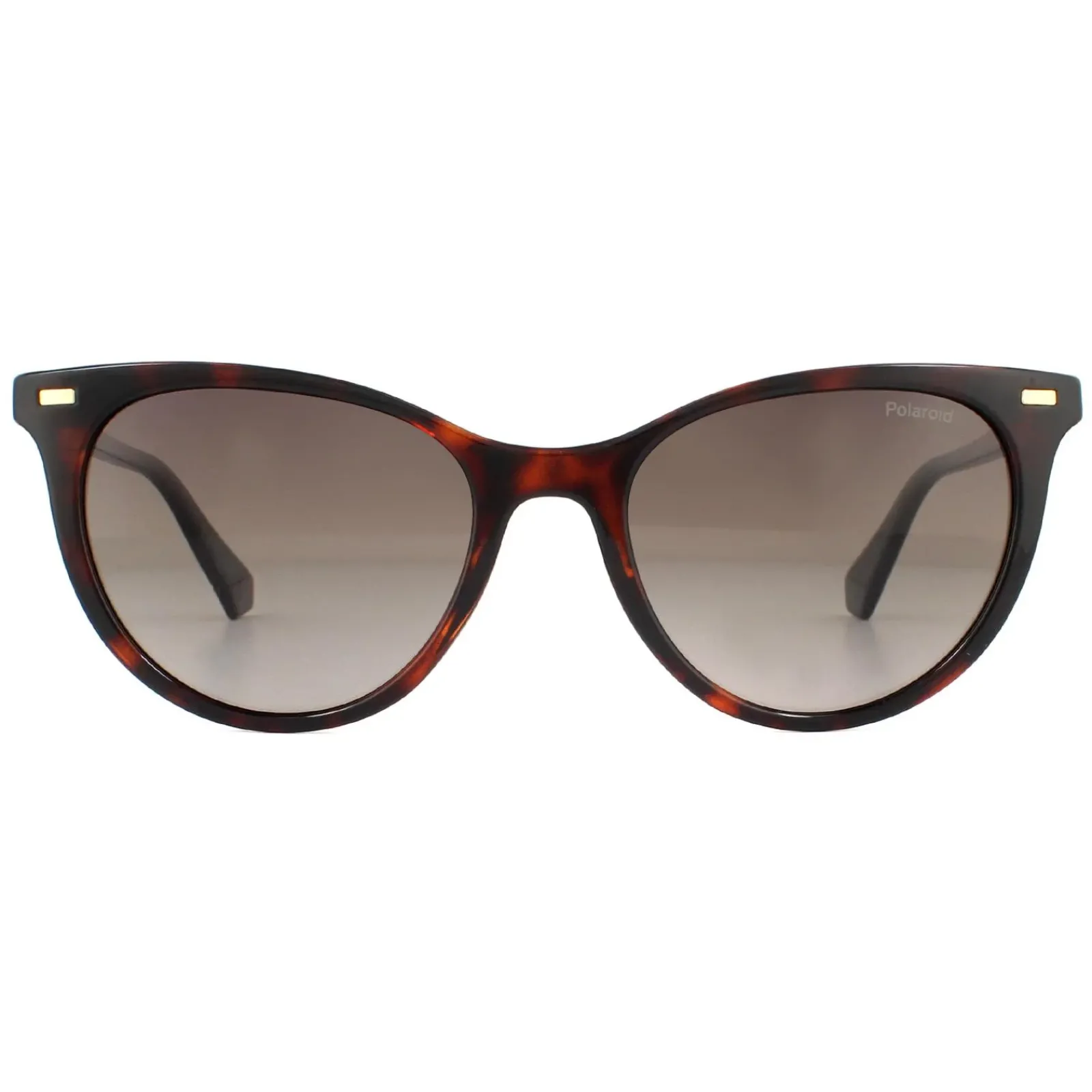 Polaroid Polarised|Cat-Eye^Sunglasses PLD 4107/S 086 LA Havana Brown Gradient Polarized