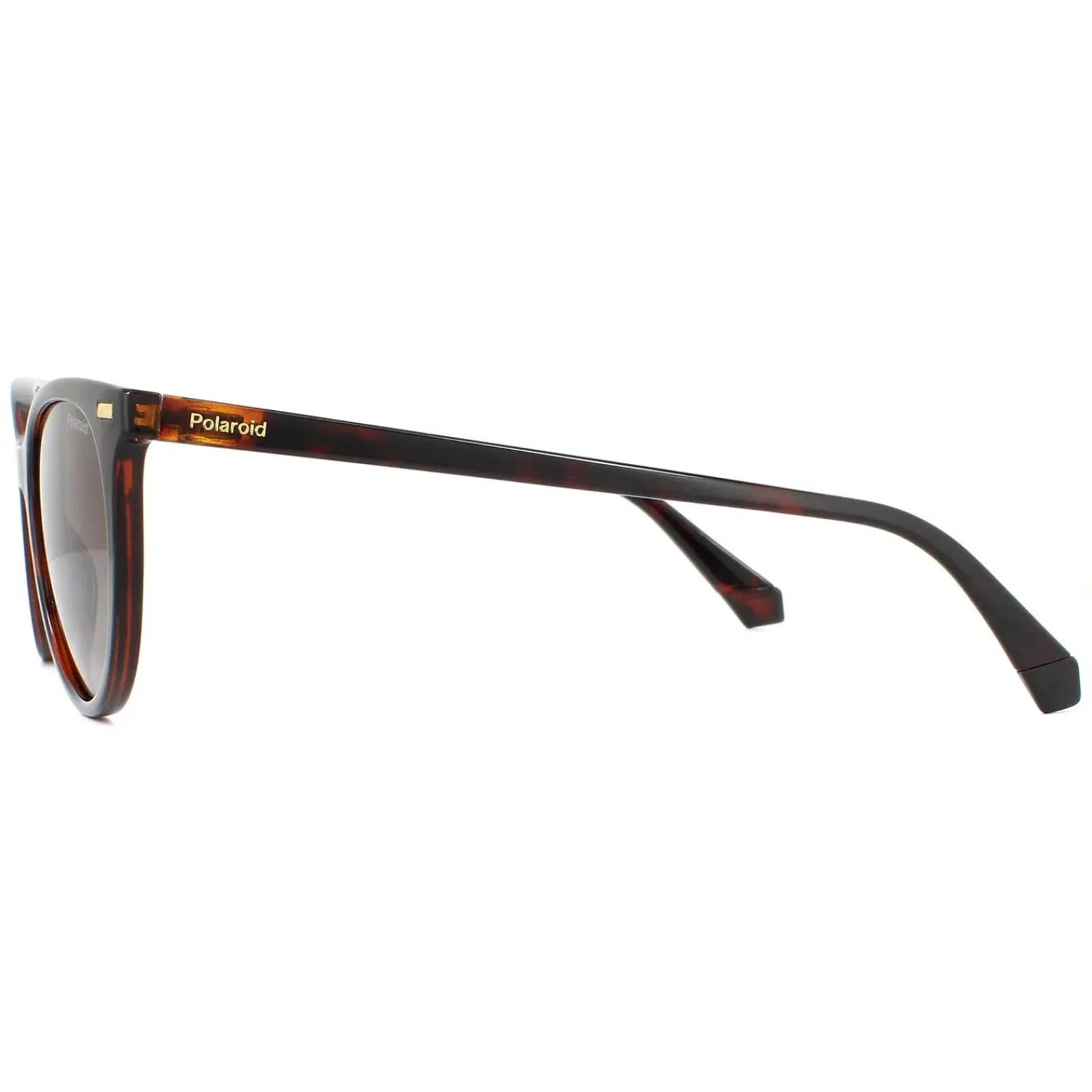Polaroid Polarised|Cat-Eye^Sunglasses PLD 4107/S 086 LA Havana Brown Gradient Polarized