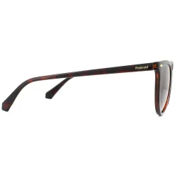 Polaroid Polarised|Cat-Eye^Sunglasses PLD 4107/S 086 LA Havana Brown Gradient Polarized