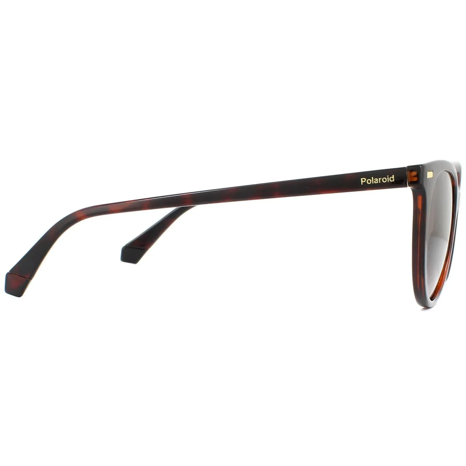 Polaroid Polarised|Cat-Eye^Sunglasses PLD 4107/S 086 LA Havana Brown Gradient Polarized