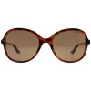 Polaroid Polarised|Butterfly^Sunglasses PLD 4136/S 086 SP Havana Bronze Polarized