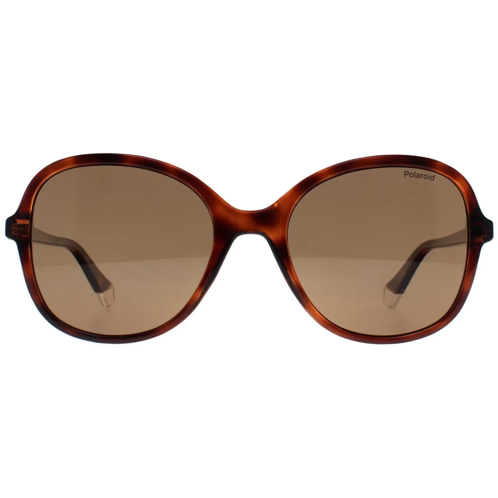 Polaroid Polarised|Butterfly^Sunglasses PLD 4136/S 086 SP Havana Bronze Polarized
