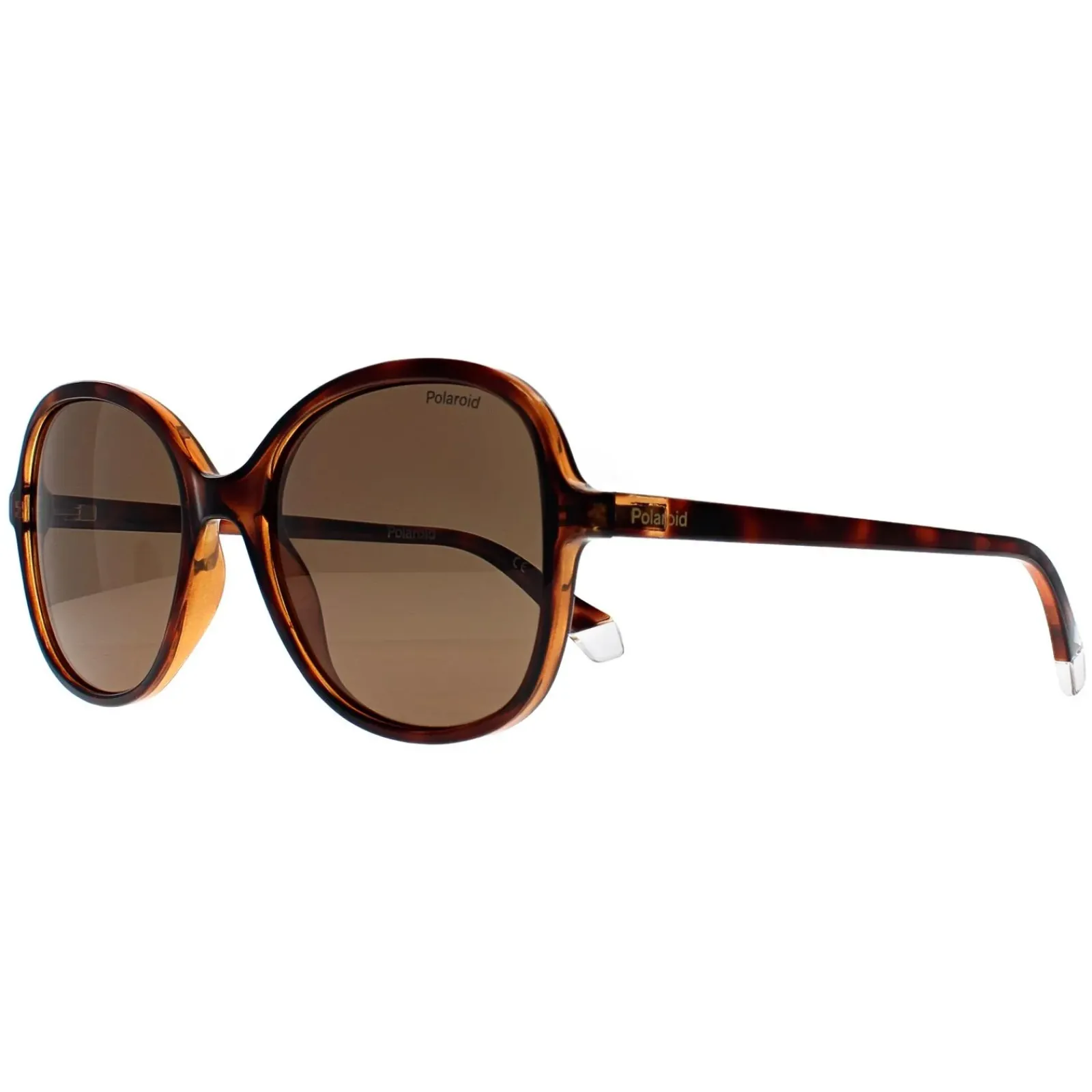 Polaroid Polarised|Butterfly^Sunglasses PLD 4136/S 086 SP Havana Bronze Polarized