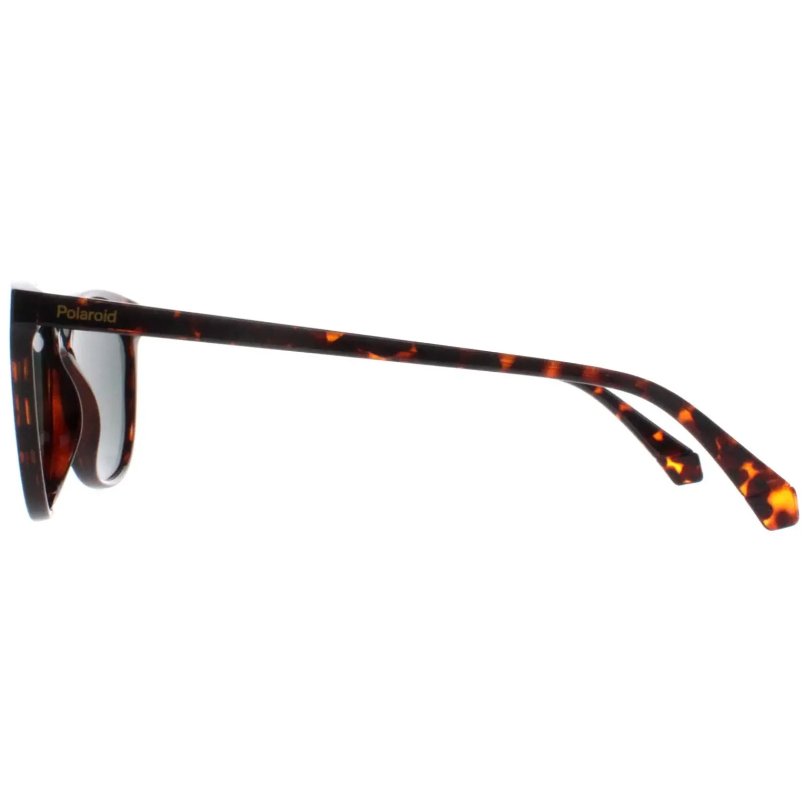 Polaroid Polarised^Sunglasses PLD 4161/S 086 UC Havana Green Polarized