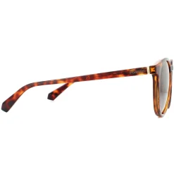 Polaroid Polarised|Polaroid^Sunglasses PLD 6098/S 086 LA Havana Brown Gradient Polarized