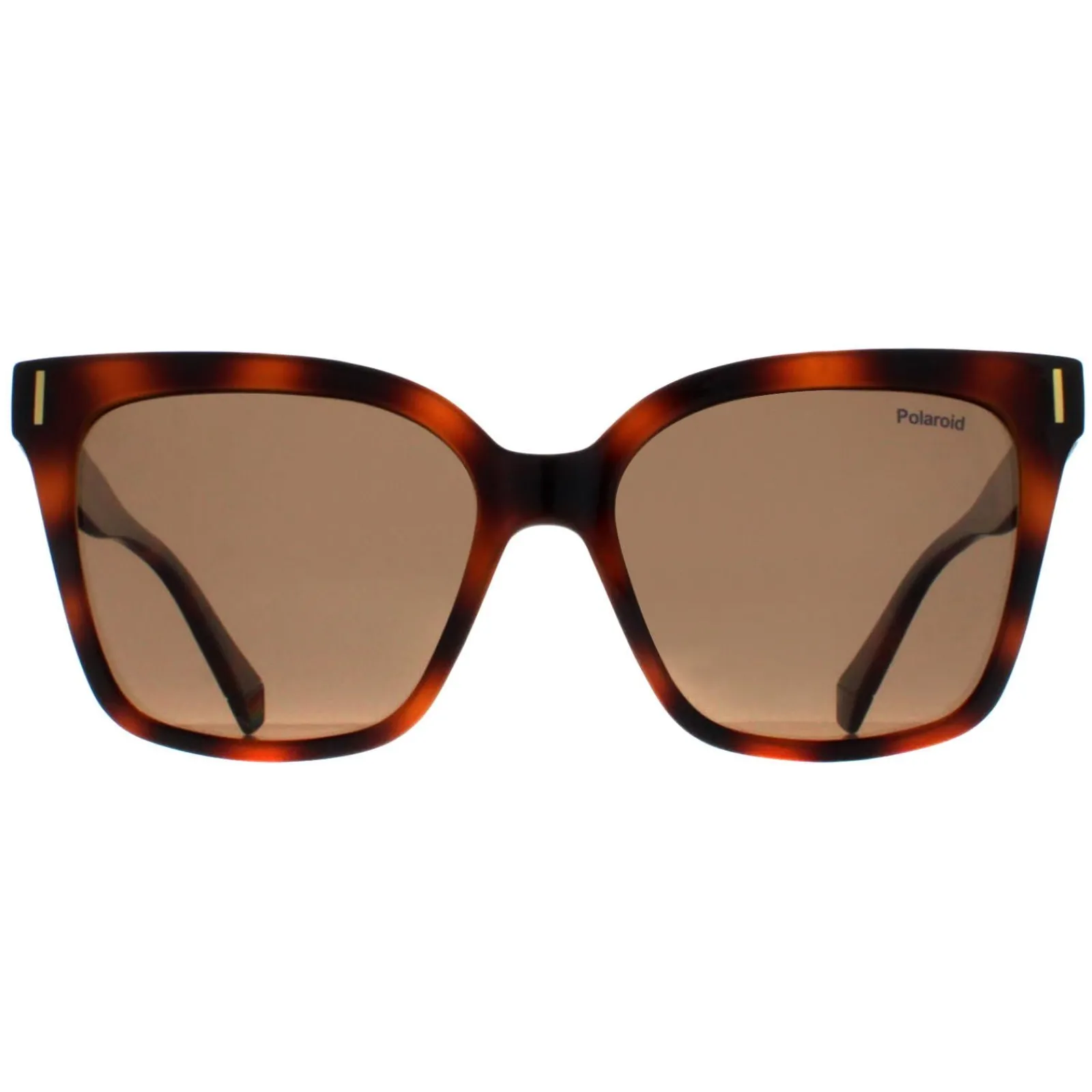 Polaroid Polarised|Cat-Eye^Sunglasses PLD 6192/S 086 SP Havana Bronze Polarized