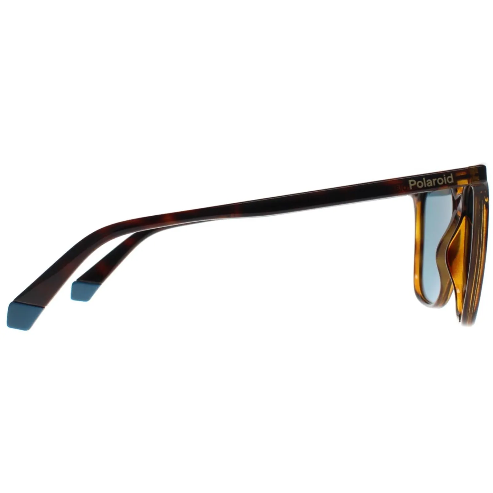 Polaroid Square|Polarised^Sunglasses PLD 6226/S 086 C3 Havana Blue Polarized