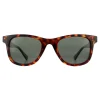 Polaroid Polarised|Rectangle^Sunglasses PLD 1016/S/NEW 086 UC Dark Havana Green Polarized