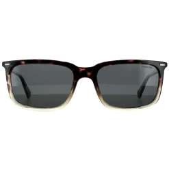 Polaroid Polarised^Sunglasses PLD 2117/S AB8 M9 Havana Grey Grey Polarized