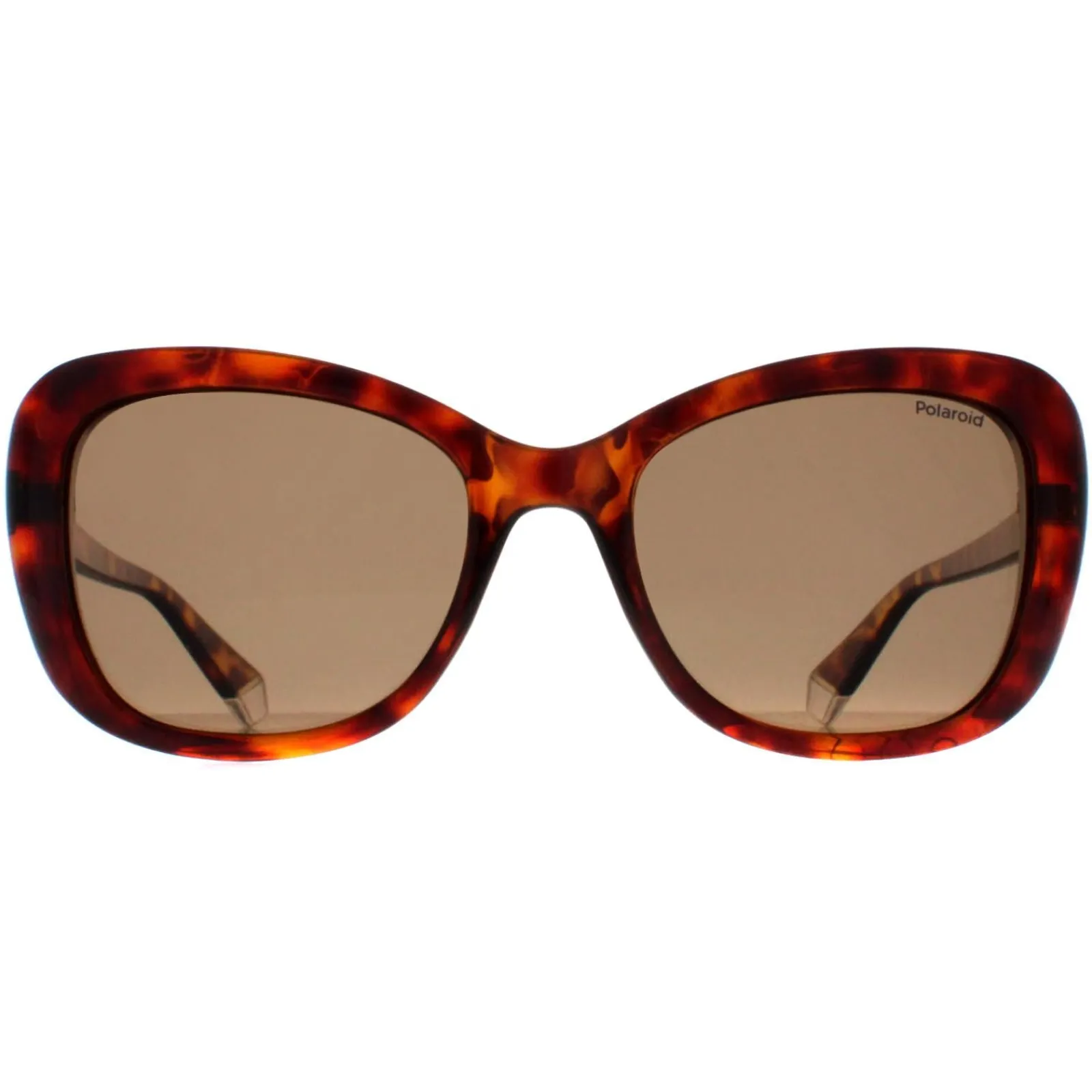Polaroid Polarised|Butterfly^Sunglasses PLD 4132/S 086 SP Havana Bronze Polarized